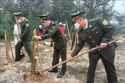 Các lực lượng trồng cây trên bãi biển xã Quang Phú (Quảng Bình). Ảnh: Đức Thọ - TTXVN 