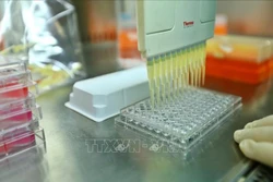 Viện Vệ sinh dịch tễ Trung ương trong phòng chống COVID-19 nghiên cứu, điều chế vaccine COVID-19. Ảnh: Minh Quyết – TTXVN