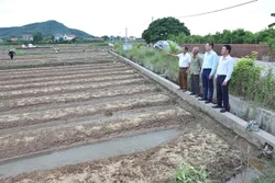 Tổ dân vận, cán bộ xã thôn Thanh Sơn, xã Đông Phú, huyện Lục Nam đã thực hiện tốt quy chế dân chủ trong chính sách dồn điền đổi thửa. Ảnh: Danh Lam-TTXVN 