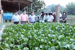 Đoàn công tác của UBND tỉnh Lạng Sơn đi thăm, kiểm tra việc nuôi giun quế làm thức ăn cho ba ba, cá tại Hợp tác xã Yên Phát (thôn Yên Thủy II, xã Yên Trạch, huyện Cao Lộc). Ảnh: Anh Tuấn - TTXVN 