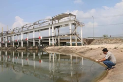 Anh Nguyễn Chế Linh, công nhân quản lý cống Láng Thé, xã Đại Phước, huyện Càng Long (Trà Vinh) đo độ mặn nước trong cống. Ảnh: Thanh Hòa-TTXVN 