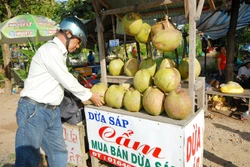 Dừa sáp tuy giá cao gấp cả chục lần dừa thường nhưng vẫn hút hàng. Ảnh: nongnghiep.vn
