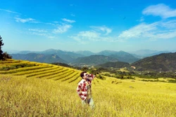 Du khách check in trên cánh đồng lúa chín vàng rực ở Bình Liêu (Quảng Ninh). Ảnh: Thanh Vân-TTXVN 
