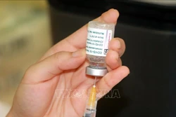 Vaccine là lựa chọn phòng tránh bệnh tốt . Ảnh: Văn Đạt - TTXVN 