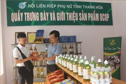 Sản phẩm OCOP được trưng bày, giới thiệu tại gian hàng của Hội Liên hiệp phụ nữ tỉnh Thanh Hóa. Ảnh: Hoa Mai - TTXVN