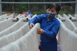 Phơi miến tại xã Cẩm Bình, huyện Cẩm Thủy. Ảnh: Hoa Mai - TTXVN 