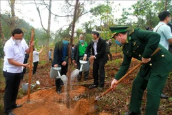 Các đại biểu tham gia "Tết trồng cây đời đời nhớ ơn Bác Hồ". Ảnh: Tường Vi - TTXVN.
