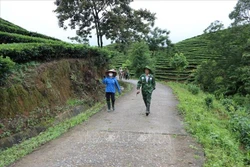 Đường nội đồng được bê tông cứng hóa, tạo điều kiện thuận lợi cho người dân phát triển kinh tế tại xã Phúc Khoa, huyện Tân Uyên. Ảnh: Quý Trung - TTXVN