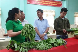 Trà Vinh hỗ trợ hợp tác xã tìm thị trường ổn định cho nông sản. Ảnh Thanh Hòa 