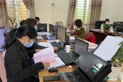 Cán bộ Văn phòng Đăng kí đất đai huyện Yên Lạc, tỉnh Vĩnh Phúc tích cực đẩy nhanh giải quyết các thủ tục đất đai cho người dân. Ảnh: Nguyễn Thảo – TTXVN