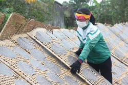 Sản phẩm bánh đa vừng của Hợp tác xã sản xuất và thương mại Nguyên Lâm được xuất khẩu sang thị trường Nhật Bản. Ảnh: Hoàng Ngà - TTXVN 