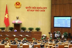 Kết quả biểu quyết thông qua Nghị quyết về thí điểm tổ chức mô hình chính quyền đô thị và một số cơ chế, chính sách đặc thù phát triển thành phố Đà Nẵng tại Kỳ họp thứ chín, Quốc hội khóa XIV, chiều 19/6/2020. Ảnh: Văn Điệp/TTXVN