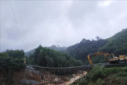 Sạt lở đã cuốn trôi hàng nghìn m3 đất và cây cối . Ảnh: Hồ Cầu-TTXVN 