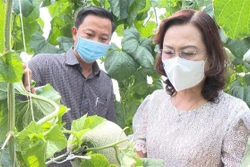 Phó Bí thư Tỉnh ủy Bạc Liêu Lê Thị Ái Nam tham quan mô hình trồng dưa lưới trong nhà kính. Ảnh: Tuấn Kiệt – TTXVN 