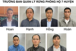 Bắt vụ đưa, nhận hối lộ hàng trăm triệu đồng khi thanh tra các dự án trồng rừng ở Lai Châu