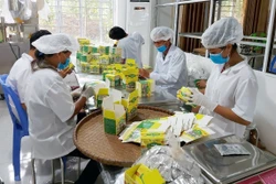 Đóng gói sản phẩm chế biến từ trà hoa vàng. Ảnh: TTXVN phát 