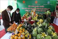 Các đại biểu tham quan các giảng hàng trưng bày nông sản trưng bày tại hội nghị. Ảnh: Danh Lam-TTXVN 