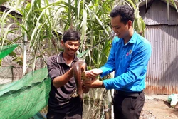 Nhiều mô hình kinh tế hiệu quả của đồng bào dân tộc thiểu số tại Sóc Trăng