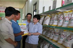 Gạo Phú Thiện ngày càng khẳng định vị thế trên thị thường thông qua kênh sản xuất, chế biến từ Hợp tác xã nông nghiệp Chư A Thai. Ảnh: Hồng Điệp - TTXVN 