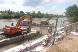 Thi công khắc phục sạt lờ bờ Đông sông Ba Rày (Tiền Giang). Ảnh: Minh Trí - TTXVN 