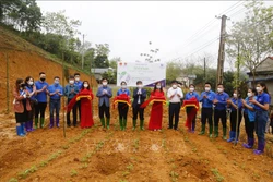 Trồng và trao tặng 500 cây xanh cho các hộ gia đình có hoàn cảnh khó khăn của xã Trung Yên. Ảnh: Nam Sương - TTXVN 