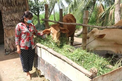 Trà Vinh giảm trên 4.800 hộ nghèo