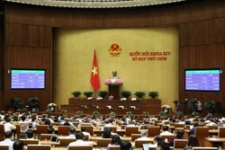 Quốc hội biểu quyết thông qua Nghị quyết về thí điểm một số cơ chế, chính sách tài chính - ngân sách đặc thù đối với Thành phố Hà Nội. Ảnh: Văn Điệp - TTXVN