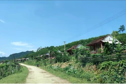 Bản Bá Hạ, xã Thạch Ngàn - nơi có 152 cử tri là người Đan Lai sẽ được bầu cử sớm. Ảnh: Văn Tý-TTXVN