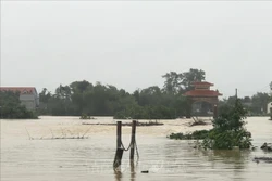 Nhiều tuyến đường liên xã Gia Phố, huyện Hương Khê bị nước lũ chia cắt. Ảnh: Phan Quân - TTXVN