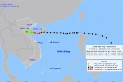Bản đồ đường đi của bão số 8. Ảnh: TTXVN phát 