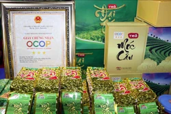 Sản phẩm OCOP tại hội chợ. Ảnh: Quân Trang-TTXVN 
