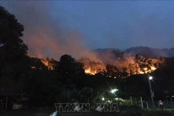 Đám cháy lan xuống khu vực rừng phòng hộ và áp sát nhà dân dưới chân núi Mồng Gà, huyện Hương Sơn, tỉnh Hà Tĩnh. Ảnh: TTXVN phát