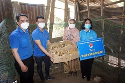 Thành đoàn Kon Tum trao tặng mô hình sinh kế gồm 200 con gà ri giống cho hộ gia đình chị Y Viêng (làng Plei Klech, xã Ngọk Bay, thành phố Kon Tum). Ảnh: Khoa Chương - TTXVN 