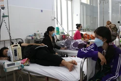 Bạc Liêu nỗ lực điều trị các ca nặng, không để bệnh sốt xuất huyết lây lan