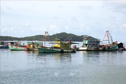 Tàu cá trên vùng biển thành phố Hà Tiên. Ảnh: Hồng Đạt - TTXVN