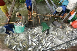 An Giang còn nhiều tiềm năng, lợi thế phát triển kinh tế