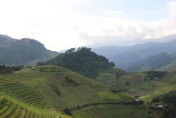 Đỉnh Dề Thàng, xã Chế Cu Nha, huyện Mù Cang Chải là một trong những địa điểm săn mây và ngắm ruộng bậc thang mùa lúa chín. Ảnh: Tiến Khánh – TTXVN.