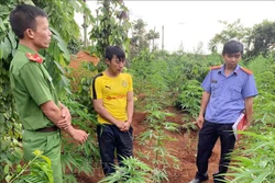 Đối tượng Nguyễn Văn Minh (áo vàng) làm việc với lực lượng công an. Ảnh: TTXVN phát