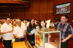 Các đại biểu Quốc hội bỏ phiếu bầu Chủ tịch Hội đồng bầu cử quốc gia và miễn nhiệm một số chức danh. Ảnh: Trọng Đức - TTXVN