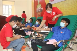 Lực lượng đoàn viên thanh niên tham gia hiến máu tính nguyện. Ảnh: Chu Hiệu - TTXVN 