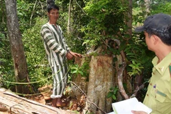 Các đối tượng bị bắt giữ được đưa đi thực nghiệm hiện trường vụ phá rừng tại Kbang. Ảnh: Nguyễn Hoài Nam – TTXVN
