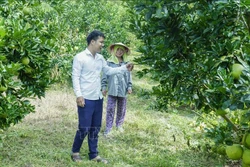 Cán bộ khuyến nông kiểm tra và hướng dẫn người dân cách chăm sóc cây ăn quả. Ảnh: Xuân Tư - TTXVN
