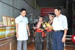 Dầu lạc đỏ Thái Sơn, lạc ri vỏ đỏ Thái Sơn của Hợp tác xã Thái Sơn được các khách hàng ưa chuộng. Ảnh: Việt Dũng - TTXVN
