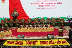 Toàn cảnh đại hội. Ảnh: Trọng Đức-TTXVN 
