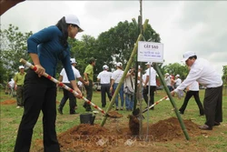 Các đại biểu trồng cây tại buổi lễ. Ảnh: Dư Toán – TTXVN