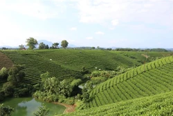 Thái Nguyên xây dựng Đại Từ đạt tiêu chuẩn thị xã vào năm 2025