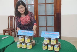 Mắm Gò Công – sản phẩm đạt OCOP (Tiền Giang). Ảnh: Minh Trí-TTXVN