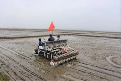 Máy sạ hàng, vùi phân trên cánh đồng lớn. Ảnh: Hoàng Nhị-TTXVN 