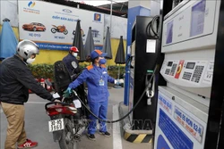 Mua bán xăng, dầu tại một cửa hàng kinh doanh xăng, dầu của Tập đoàn xăng dầu Việt Nam ở Hà Nội. Ảnh: Trần Việt - TTXVN 