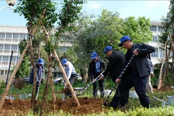 Lãnh đạo tỉnh Lâm Đồng cùng các đại biểu trồng cây ngay sau lễ phát động. Ảnh: Nguyễn Dũng – TTXVN